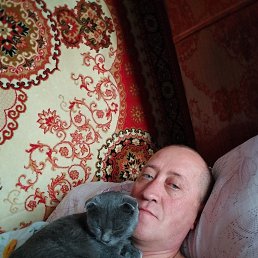 ������� ��������, 44 ����, �����