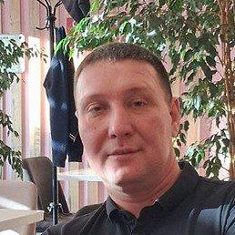 �������, ���������, 36 ���