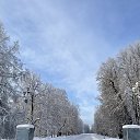 ���� �����, �����-���������, 51 ��� - ��������� 21 ������ 2024 � ������ �������