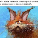  ,  -  31  2025