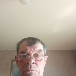 ��������, 66 ���, ��������