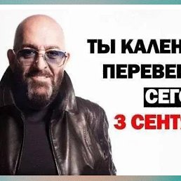 , 51,  