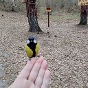 ���� ���������, ����� - ��������� 24 ������� 2025 � ������ ���� ����������