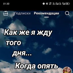  , , 53  -  11  2025