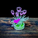 ���� Andrey, �����������, 41 ��� - ��������� 16 ������� 2026