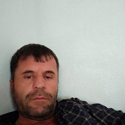 , 51, 