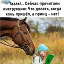 ���� �������, ������� - ��������� 26 ������� 2024 � ������ ������ ��������