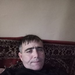 , 43, 