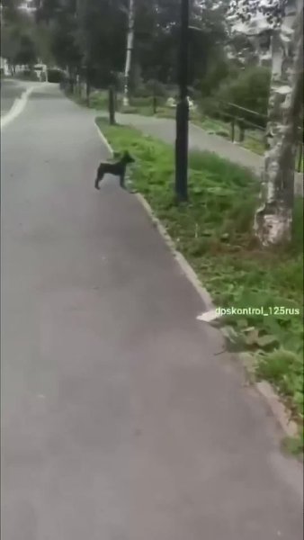 ��� ����� � ����������� ������ �����..