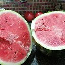  , , 51  -  5  2024   24  !!!!!!!!!!!!!!