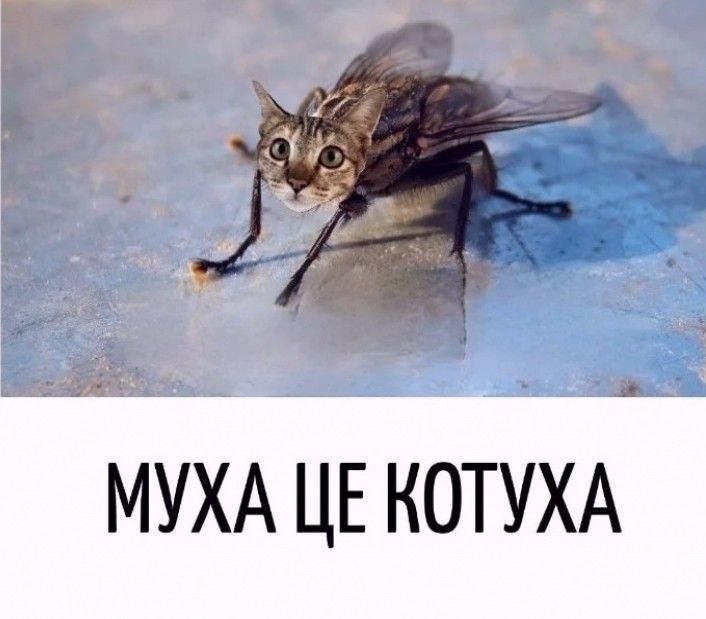 ПРИКОСНОВЕНИЕ ДУШИ - 20 октября 2025 в 13:51