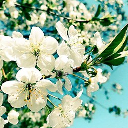 ���������, ������, 49 ���