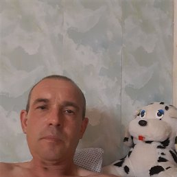 , 57, 