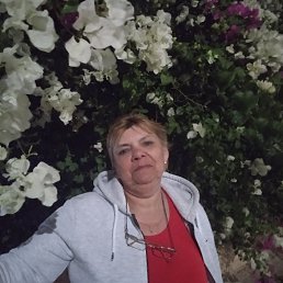 , 56, 