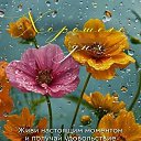  , -, 52  -  29  2025