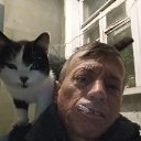 ���� �������, ������ ��������, 49 ��� - ��������� 23 ��� 2025 � ������ ���� ����������