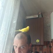 , 40 , 