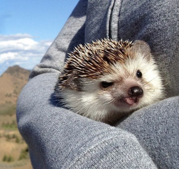 ee , oope ecoeo oapoae, ecop a co o ) - 5