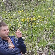 ����, 45 ���, �����