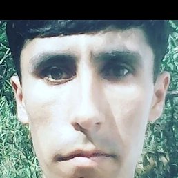 ������, ���������, 36 ���