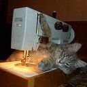 ���� �������, ������, 55 ��� - ��������� 27 ������� 2024 � ������ ������ ��������