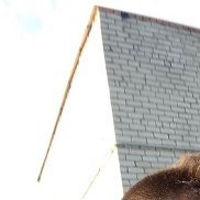  , 25 , 