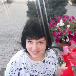 ���� �����, ������, 48 ��� - ��������� 11 �������� 2026