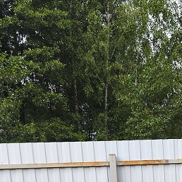 Nik, ������, 41 ���