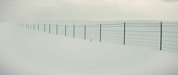 ������ � �������� �� ����������� / Kumiko, the Treasure Hunter, 2014.���. David Zellner - 9