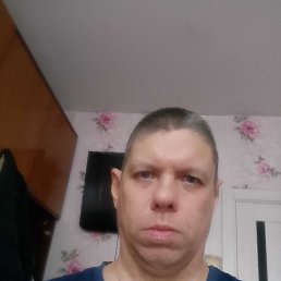 ���� ������, �����, 40 ��� - ��������� 23 ������� 2025