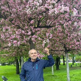 ���� �����, ������������, 52 ���� - ��������� 20 ������� 2025