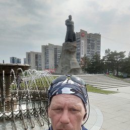 , 44, 