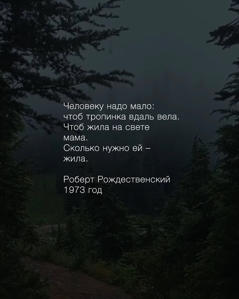   - 19  2025  20:53 - 9