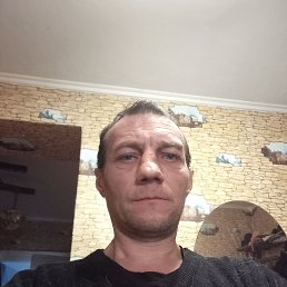 ����������, 46 ���, ������������