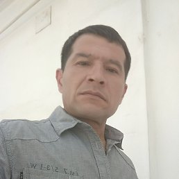, 43, 