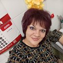 ���� �������, ���������, 49 ��� - ��������� 17 ��� 2026 � ������ ���� ����������