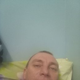 ���������, 39 ���, ���������