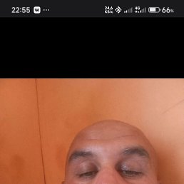 ���� ����, ���, 46 ��� - ��������� 26 ������� 2026