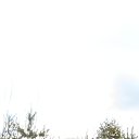 ���� ������, ������, 42 ���� - ��������� 25 ������� 2026 � ������ ���� ����������