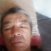 , 53 , 
