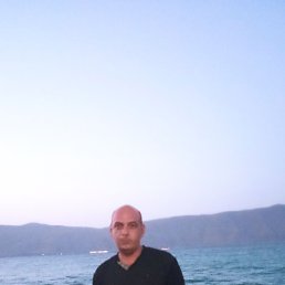 , 43 , 