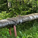 ���� �������, ������������, 59 ��� - ��������� 26 ���� 2024 � ������ ���� ����������