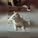 ���� �������, ������� - ��������� 16 ������ 2026 � ������ ������