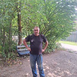 , 53, 