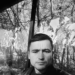 , 28,  