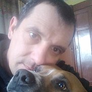 �����, 43 ����, �����