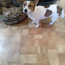 ���� ��������, ��������, 51 ��� - ��������� 27 ������� 2025 � ������ ���� ����������