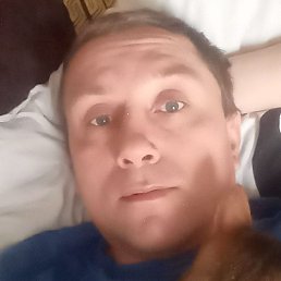 ������, ������, 42 ����