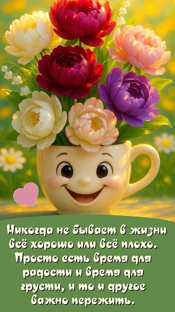   ,    . - 9  2025  17:43