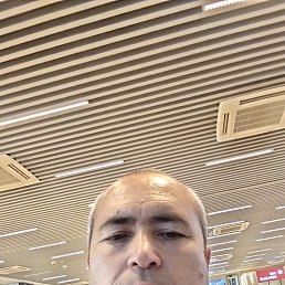 , 49, -